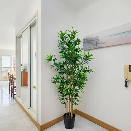 Appartement Dreamstudio With Seaview By Encantos Do Algarve - 7h *